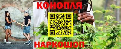 mdpv Можга
