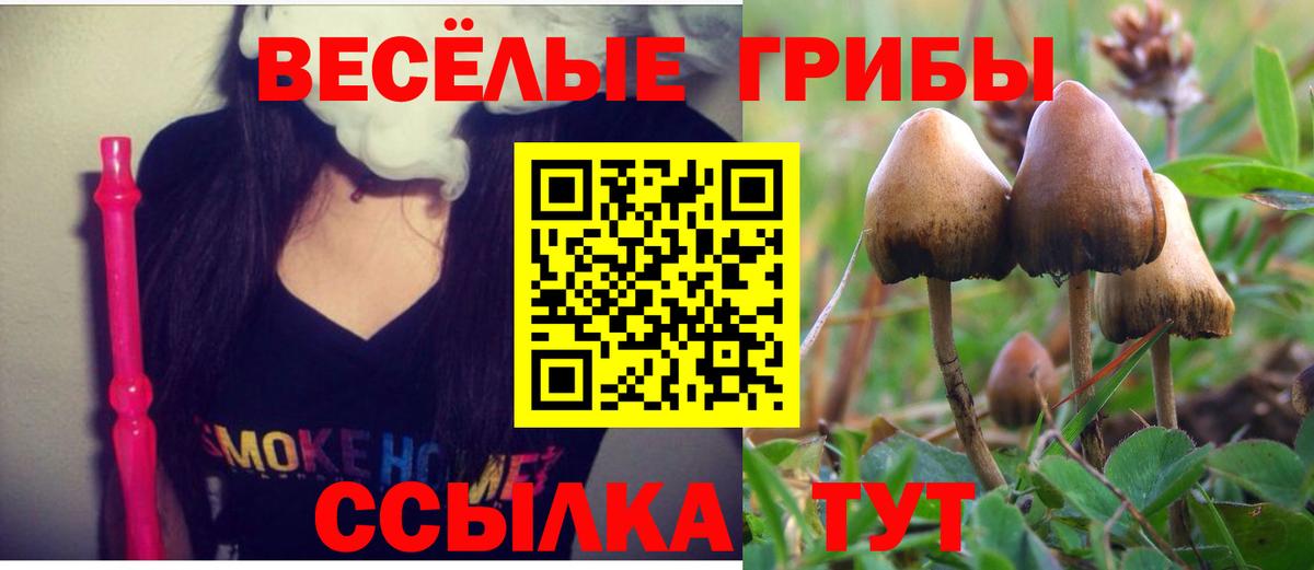 Псилоцибиновые грибы Magic Shrooms Шали